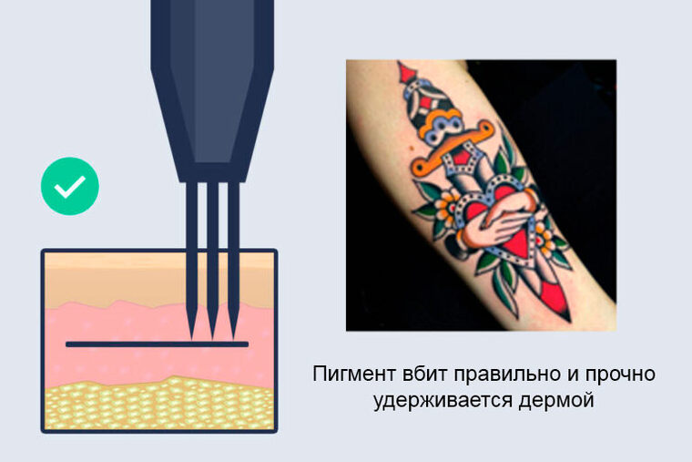 Just Tattoo Shop - Как выбрать блок питания для тату машинки?