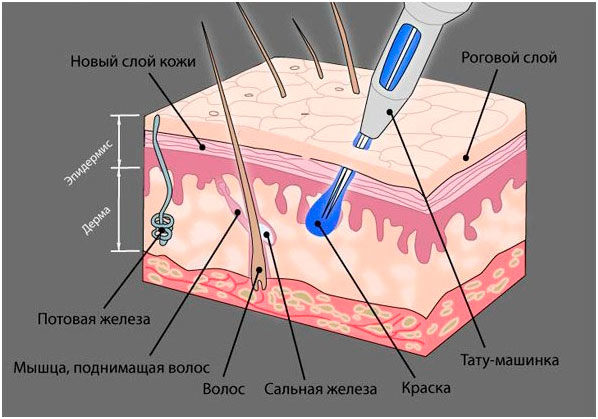 Тату иглы и картриджи (особенности, конфигурации и различия)