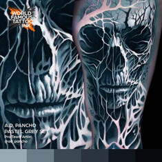 Краска World Famous Tattoo Ink A.D. Pancho Pastel Grey Set (6 пигментов)