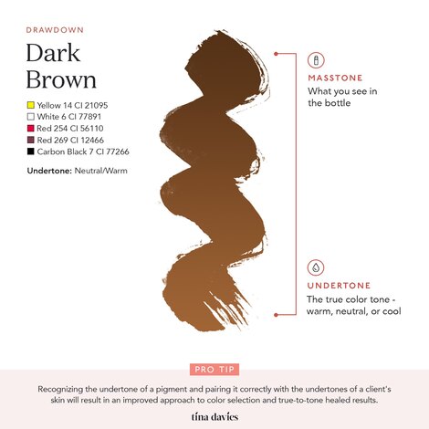 Пигмент Perma Blend Tina Davies 'I Love INK' 4 Dark Brown