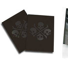 The Skull Project Book - by Matthew Amey