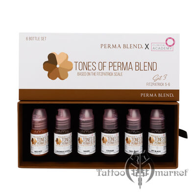 Пигмент Perma Blend TONES OF PERMA BLEND - FITZPATRICK 5-6 SET 3