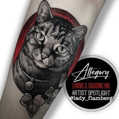 Краска Allegory Ink BLAK Lining and Shading