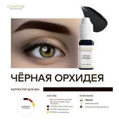 Пигмент CONTUR‌ ‌PROFESSIONAL Черная орхидея