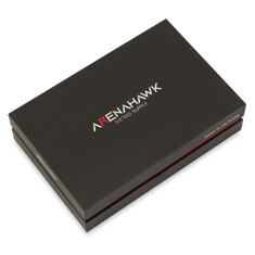 Тату-машинка Mast Rotary Machines Arenahawk A-Power 4.0 (black)