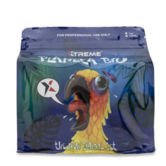 Тату-краска Xtreme Ink Planeta Biu Color Set (12 пигментов)