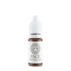 Пигмент FACE Кирпичный (корректор гибридный)