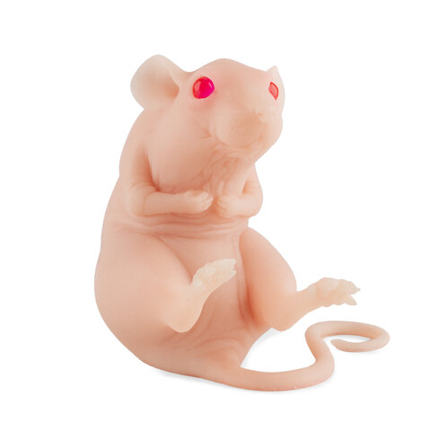 Искусственная кожа/манекен Силиконовый крысёныш