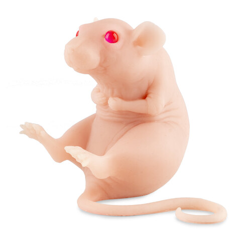 Искусственная кожа/манекен Силиконовый крысёныш