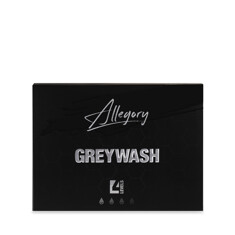 Краска Allegory Ink GreyWash Set (4 пигмента)
