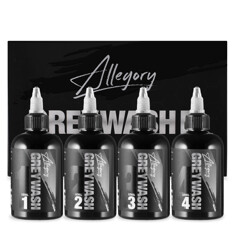 Краска Allegory Ink GreyWash Set (4 пигмента)