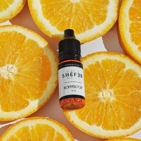  Корректор (корректор)